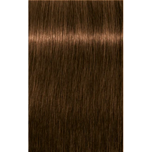 Schwarzkopf Professional Igora Royal Absolutes 6-50 Dark Blonde Gold Natural Hair Color 60ml | Permanent Hair Color | 100% Gray Coverage