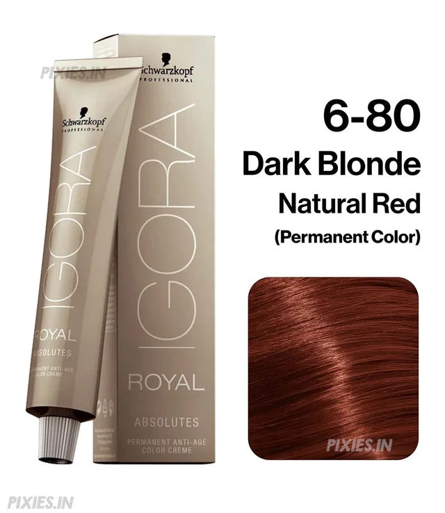 Schwarzkopf Professional Igora Royal Absolutes 6-80 Dark Blonde Red Natural Hair Color 60ml | Permanent Hair Color | 100% Gray Coverage