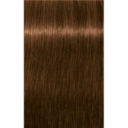 Schwarzkopf Professional Igora Royal Absolutes 6-60 Dark Blonde Chocolate Natural Hair Color 60ml | Permanent Hair Color | 100% Gray Coverage