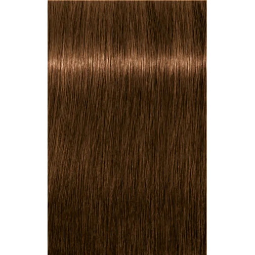 Schwarzkopf Professional Igora Royal Absolutes 6-60 Dark Blonde Chocolate Natural Hair Color 60ml | Permanent Hair Color | 100% Gray Coverage