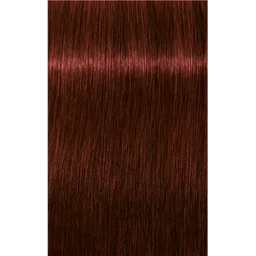 Schwarzkopf Professional Igora Royal Absolutes 5-80 Light Brown Red Natural Hair Color 60ml | Permanent Hair Color | 100% Gray Coverage