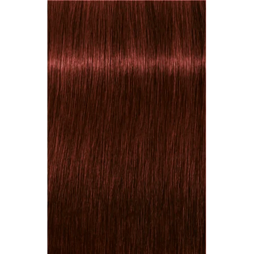 Schwarzkopf Professional Igora Royal Absolutes 5-80 Light Brown Red Natural Hair Color 60ml | Permanent Hair Color | 100% Gray Coverage