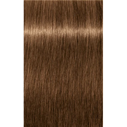 Schwarzkopf Professional Igora Royal Absolutes 7-50 Medium Blonde Gold Natural Hair Color 60ml | Permanent Hair Color | 100% Gray Coverage