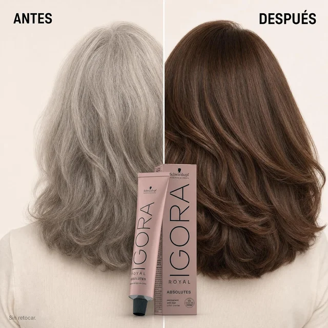 Schwarzkopf Professional Igora Royal Absolutes 7-60 Medium Blonde Chocolate Natural Hair Color 60ml | Permanent Hair Color | 100% Gray Coverage