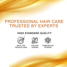 Streax Professional Spa Nourishment Hair Masque 500g with Honey & Vitamin E | For Normal to Dry Hair