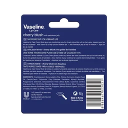 Vaseline Lip Care Cherry Blush Tinted Lip Balm Stick 4.8g | Up to 48Hr Moisturization | With Petroleum Jelly & Vitamin E | Made in South Korea