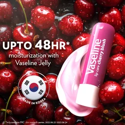 Vaseline Lip Care Cherry Blush Tinted Lip Balm Stick 4.8g | Up to 48Hr Moisturization | With Petroleum Jelly & Vitamin E | Made in South Korea