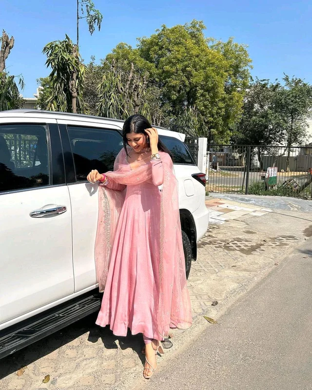 Delightful Light Pink Anarkali Gown With Net Dupatta - Blossom, XL