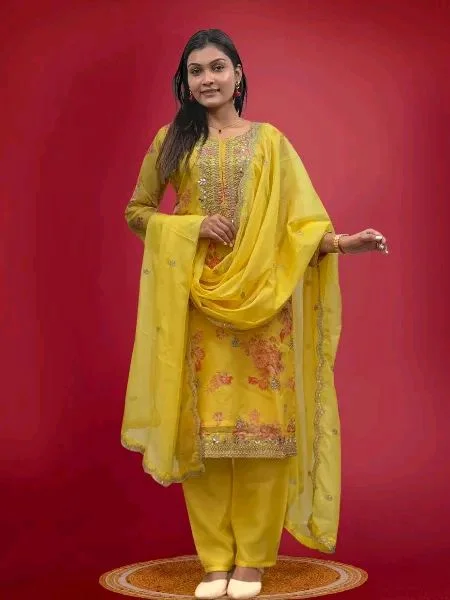 Off White Kurti Pant Set in Organza With Print Embroidery and Stone With Dupatta - Gold Tips, XXL
