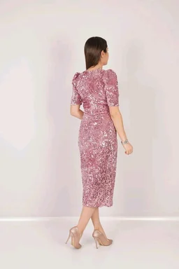 Partywear Bodycon Pink Dress
- pink, L
