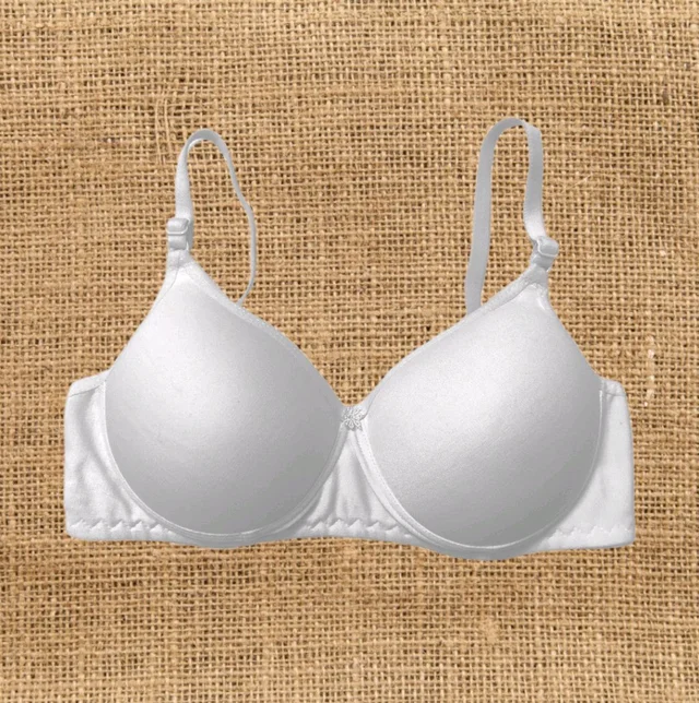 Pack of 2 Women T-Shirt Lightly Padded Bra (Multicolor) - White, 38B