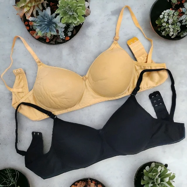 Pack of 2 Women T-Shirt Lightly Padded Bra (Multicolor) - Black::Golden, 28B