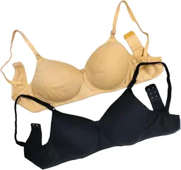 Pack of 2 Women T-Shirt Lightly Padded Bra (Multicolor) - Black::Golden, 40B