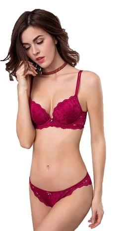 Premium Women's Padded Bra Penty Set | Net Fabric Padded Underwire Undergarments Set Lingerie | Push-Up Underbody Polyamide Set for Women - Maroon, 28A