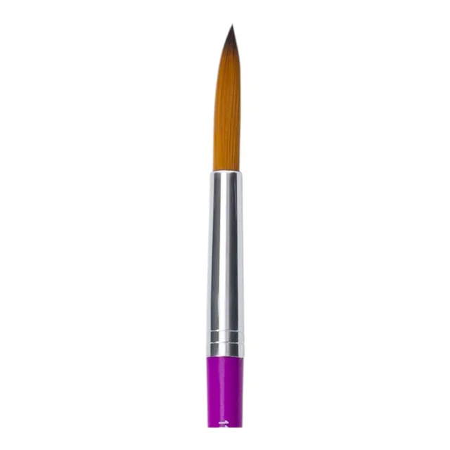 Camel Champ Brush Round Series 64 Assorted - 11
