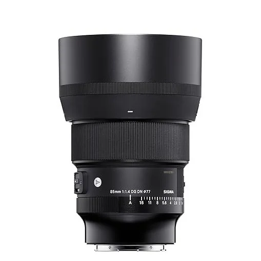 Sigma 85mm F1.4 DG DN