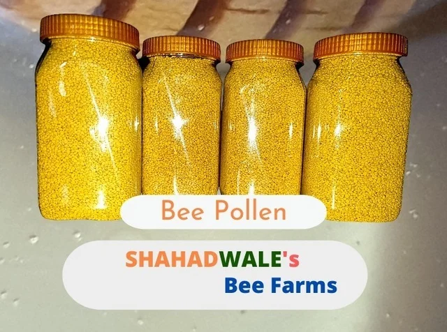 SHAHADWALE Mustard Bee Pollen 500g – Pure Superfood for Energy & Immunity - 500gm