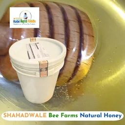 SHAHADWALE Acacia Honey | Kikar Honey | Babool Flora Honey - Bulk for Brands & Wholesalers - Bucket, Acacia / Kikar honey, 28 kg, 29kg