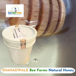 SHAHADWALE Multi Flora Honey/ Shivalik Forest Honey - Bulk for Brands & Wholesalers - Bucket, Multi Flora, 28kg