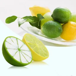 Ice Cubes Tray (Lemon Shape) Pack of 2