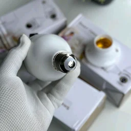 Bulb WiFi Camera, Smart Security Pan Tilt Remote Two Way Playback 1080P