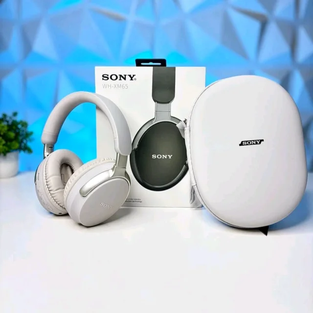 Foldable Wireless Head-Mounted Earphones with Carry Case – Ideal for Travel, Work & School - White