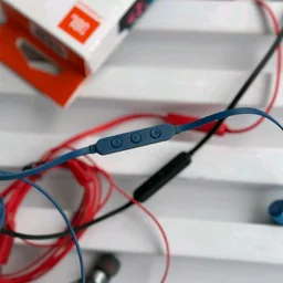 (Original) JBL Tune 310 Wired in-Ear Type C Headphones, Hi-Res Audio with Digital-to-Analog Converter, 3-Button EQ Preset Remote with Microphone, Tangle-Free Flat Cable, Compatible with USB-C Devices - Blue