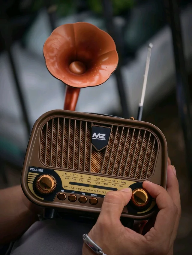MZ Retro Gramophone Vintage Bluetooth Speaker with AM/FM/SW 3-Band Radio, 5W Hi-Fi Sound, Supports USB, TF Card, and AUX (Model M427SP)