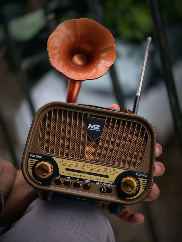 MZ Retro Gramophone Vintage Bluetooth Speaker with AM/FM/SW 3-Band Radio, 5W Hi-Fi Sound, Supports USB, TF Card, and AUX (Model M427SP)