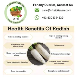 White Radish (Mooli) - 500 Grams