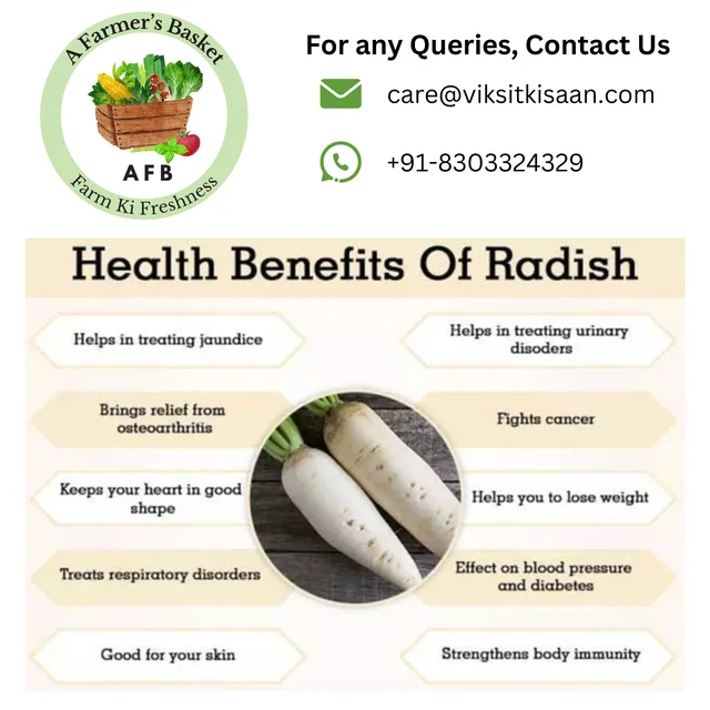 White Radish (Mooli) - 500 Grams