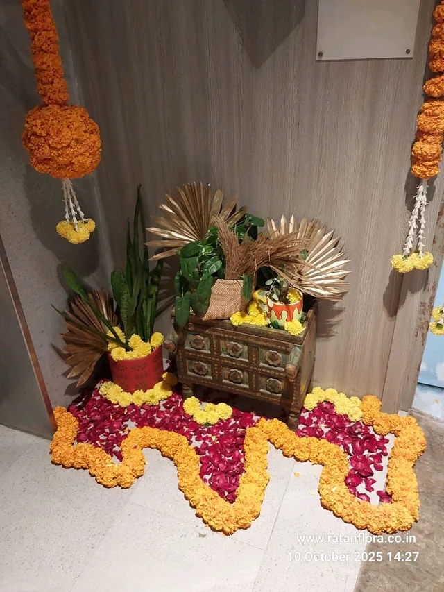 Home Decoration Real Flower Package. Marigold Flower Decoration Gate,Hall Room,Entri Passage Rangoli, Welcome Bord