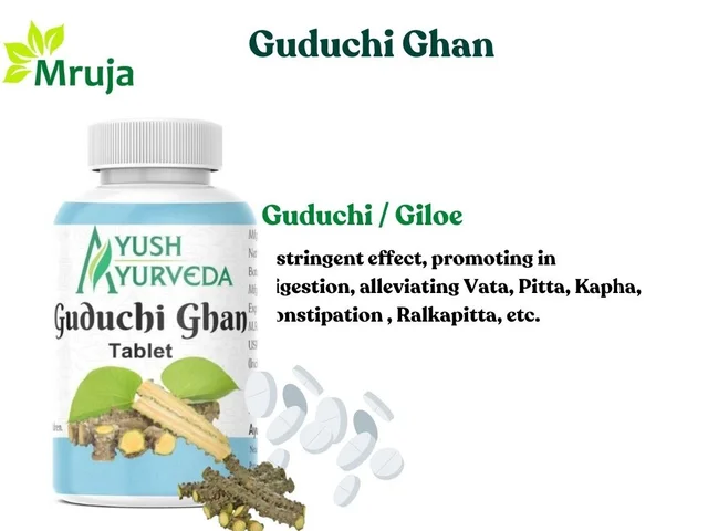 Sanshamni Vati / Guduchi Ghan - 120 Tab