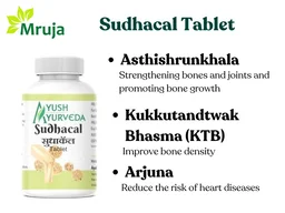 Sudhacal Tablet - 200 gm