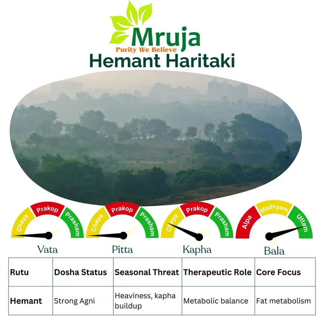 Hemant Haritaki - 500 Gm