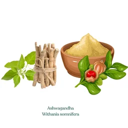 Ashwagandha Ghan - 120 Tab