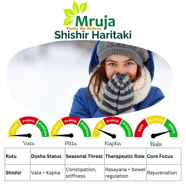 Shishir Haritaki - 500 Gm