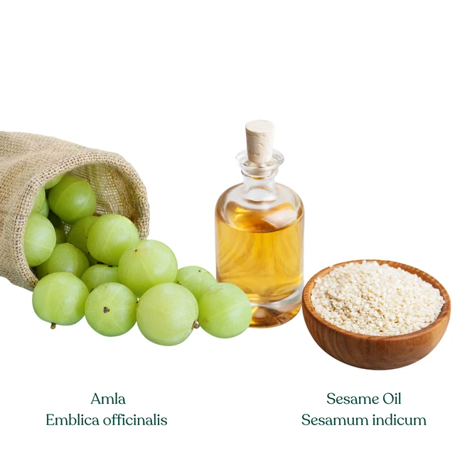 Amalki Tail (Amla Oil) - 100 ml