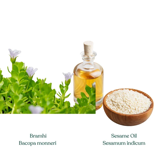 Bramhi Oil - 100 ml