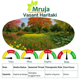 Vasant Haritaki - 500 Gm