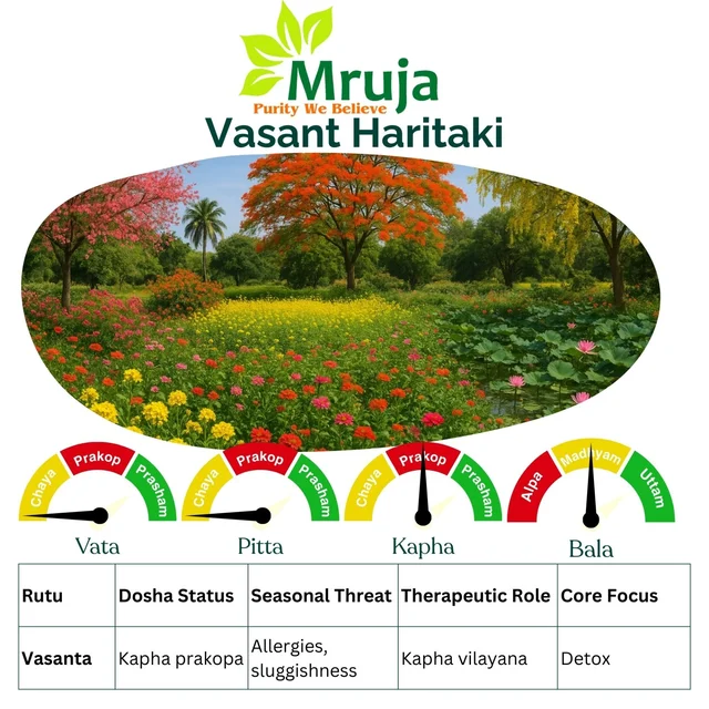 Vasant Haritaki - 500 Gm