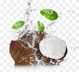 Wood Pressed Coconut Oil- Pure & Natural - 200ml