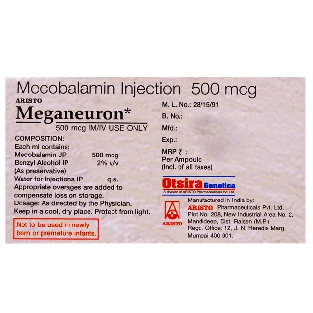Meganeuron Injection