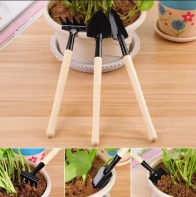 3pcs/set Mini Garden Tools Set Small Shovel/Rake/Spade Wooden Handle Metal Head Garden Tools For Office & Family Gardening