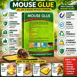 Mouse Glue Trap Strong Adhesive Rat & Mouse Catcher | Rat Pad | Poison Free & Odourless | Safe for Home, Kitchen & Storage | Reusable Sticky Trap Board for Rodent Control Pack of 1