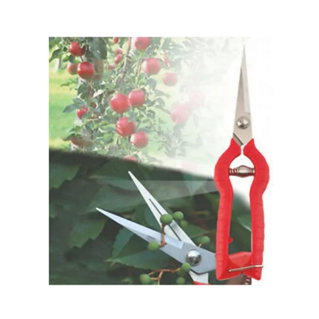 Garden Scissors Pruning Shears Flower Cutter Branch Trimmer Steel Blade With Lock -1 Piece