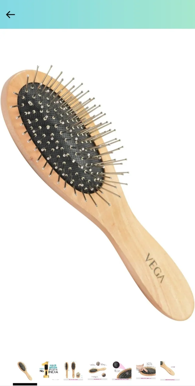 VEGA Hair Brush