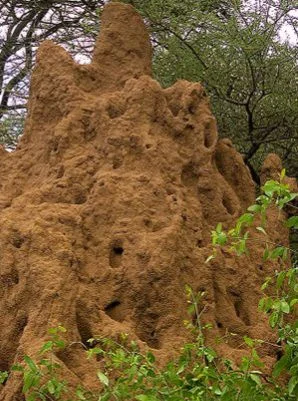 புற்று மண் - புற்றுமண் - Putru Sand - Putru Mann - 1.0 kg