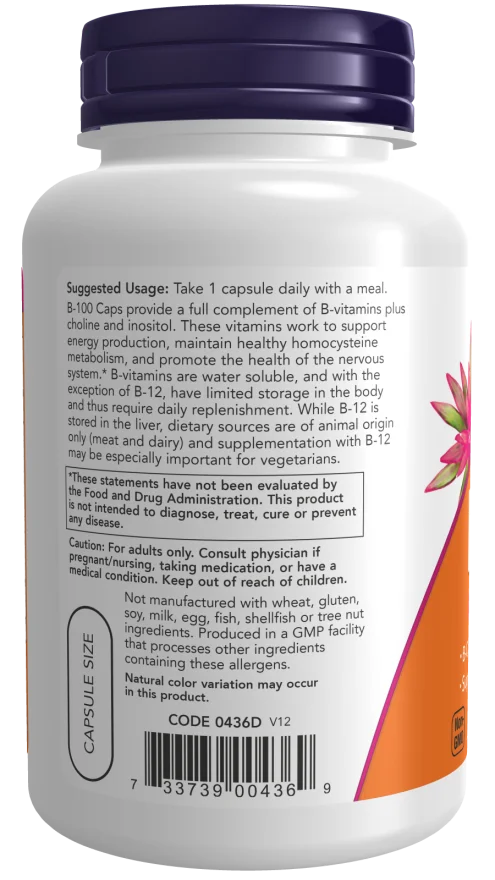 Now Vitamin B-100 - 100 Veg Capsules