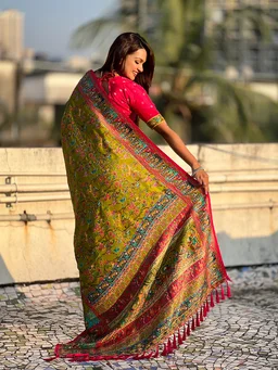 Pure Viscose Silk Saree with Meenakari Zari Jaal & Traditional Pallu - FREE, MEHENDI